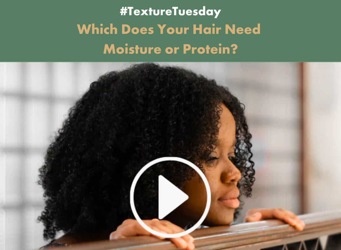 Moisture Or Protein For Healthy Hair? - Alodia Hair Care