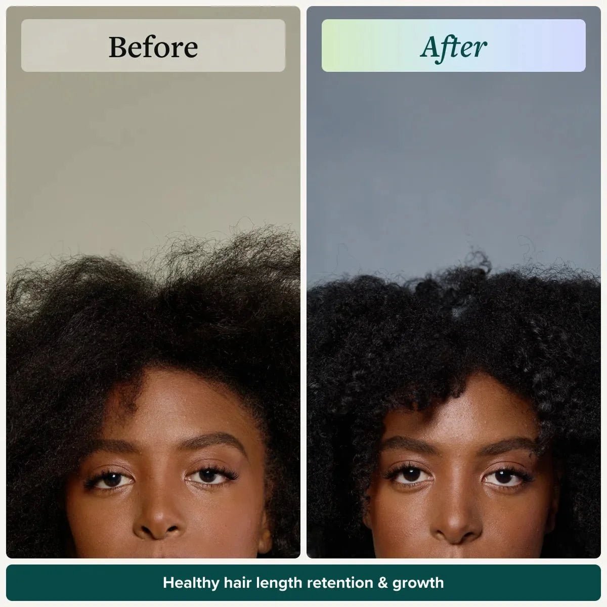 Essential Wash Day System - Alodia Hair Care