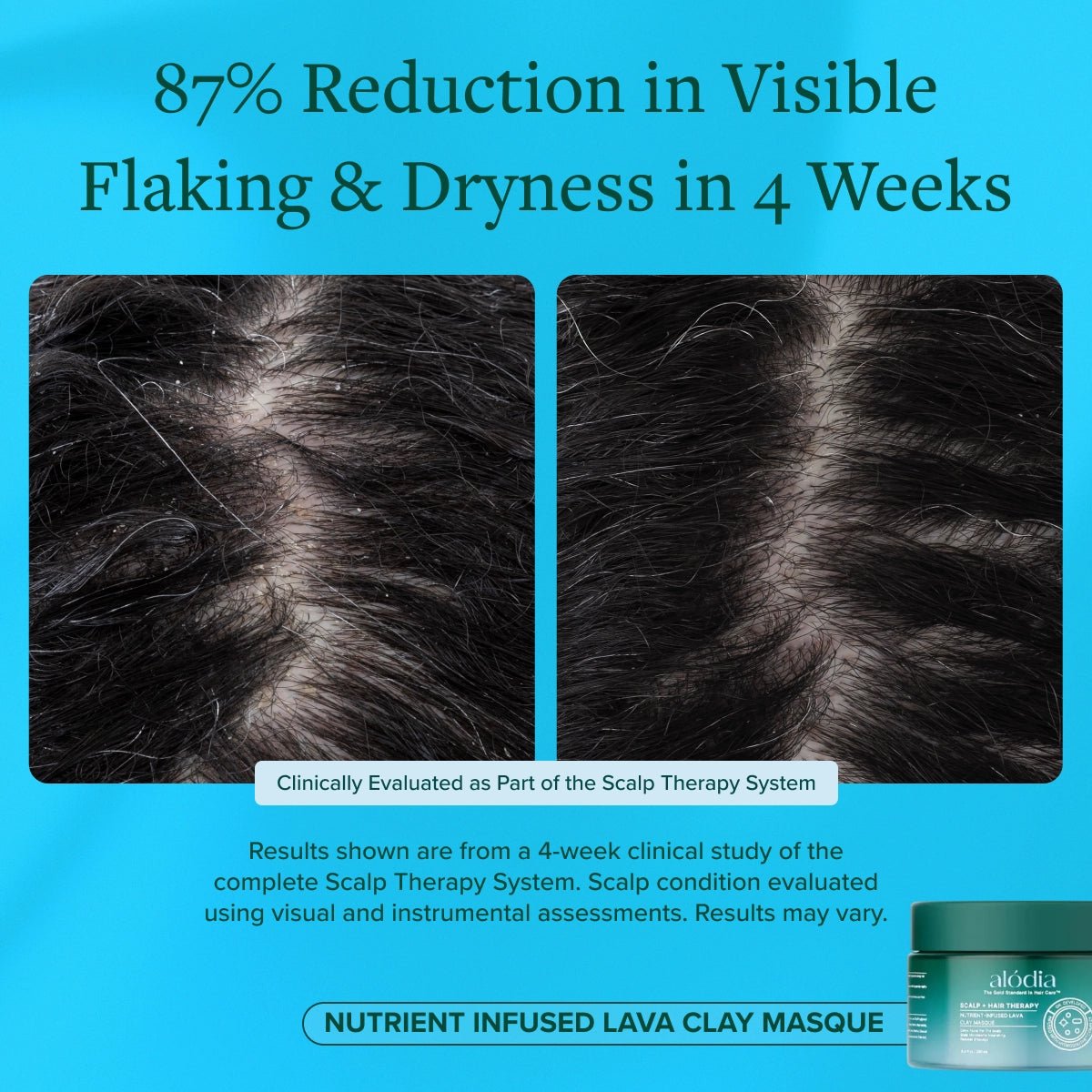 Nutrient Infused Lava Clay Masque - Alodia Hair Care