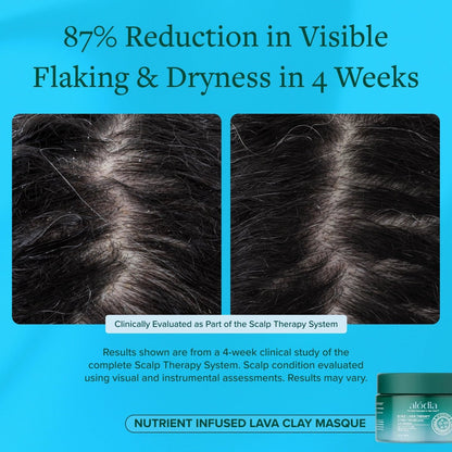 Nutrient Infused Lava Clay Masque - Alodia Hair Care