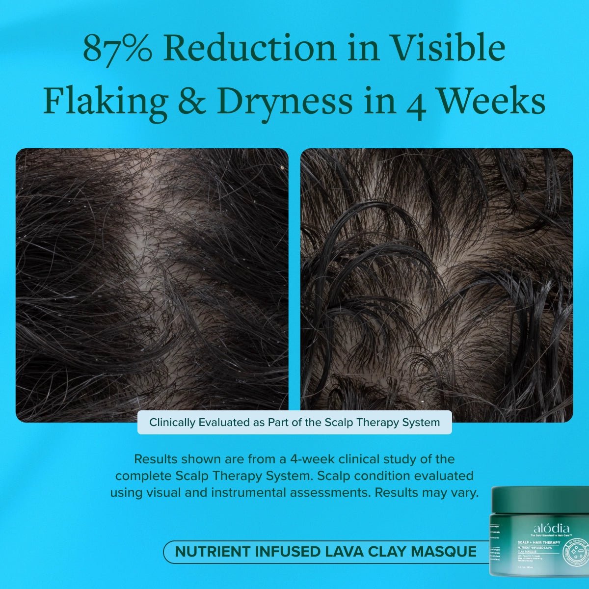 Nutrient Infused Lava Clay Masque - Alodia Hair Care