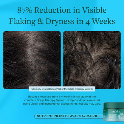 Nutrient Infused Lava Clay Masque - Alodia Hair Care