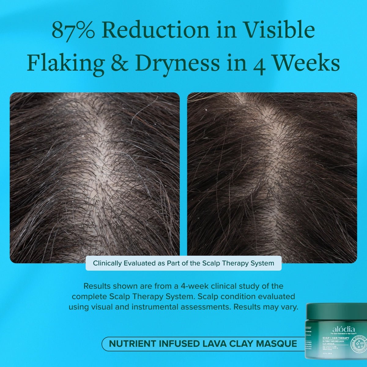 Nutrient Infused Lava Clay Masque - Alodia Hair Care