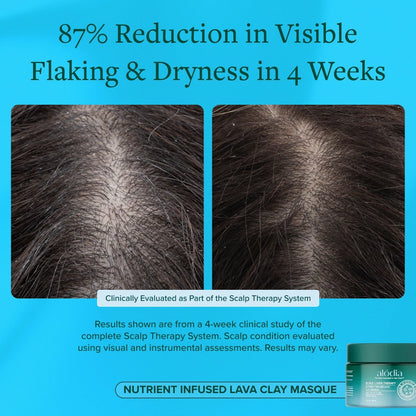 Nutrient Infused Lava Clay Masque - Alodia Hair Care