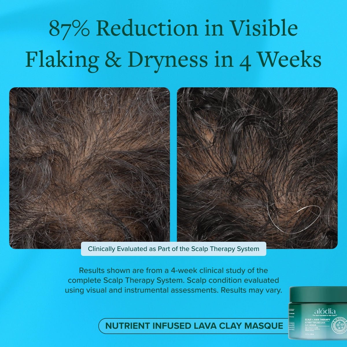 Nutrient Infused Lava Clay Masque - Alodia Hair Care