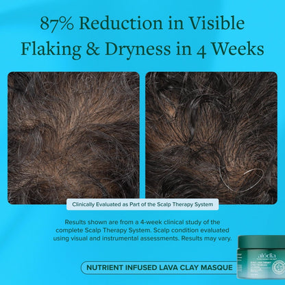 Nutrient Infused Lava Clay Masque - Alodia Hair Care