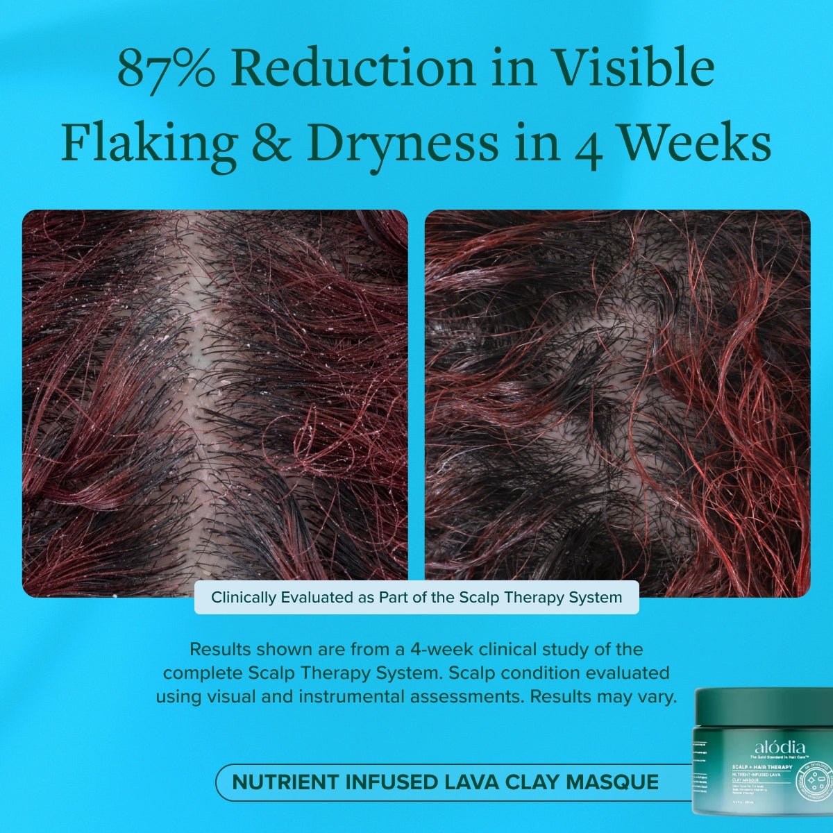 Nutrient Infused Lava Clay Masque - Alodia Hair Care