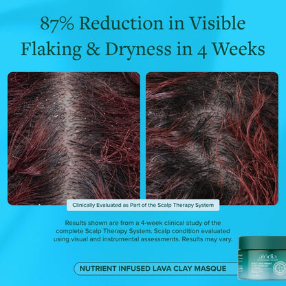 Nutrient Infused Lava Clay Masque - Alodia Hair Care