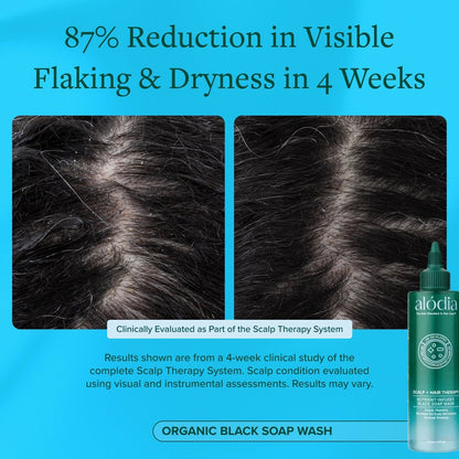 Nutrient Infused Organic Black Soap Wash - Alodia Hair Care