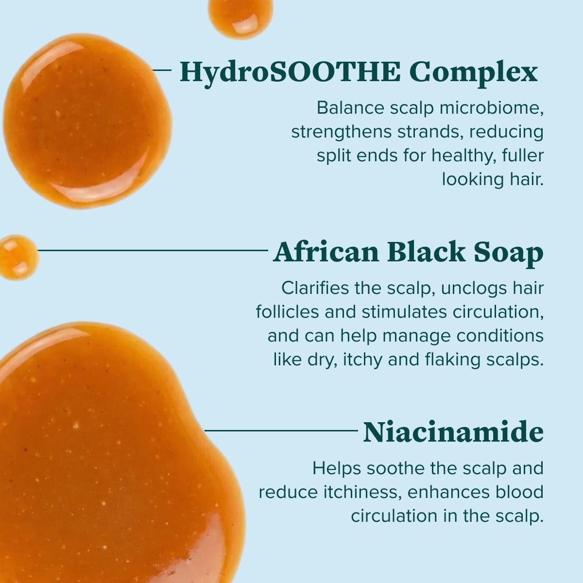 Nutrient Infused Organic Black Soap Wash - Alodia Hair Care