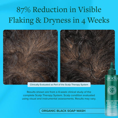 Nutrient Infused Organic Black Soap Wash - Alodia Hair Care