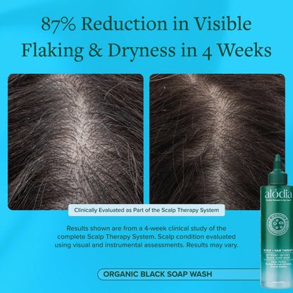 Nutrient Infused Organic Black Soap Wash - Alodia Hair Care
