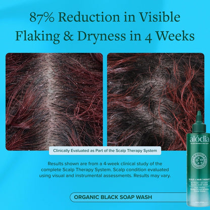 Nutrient Infused Organic Black Soap Wash - Alodia Hair Care