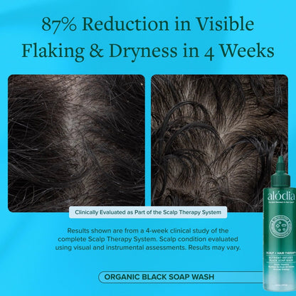 Nutrient Infused Organic Black Soap Wash - Alodia Hair Care